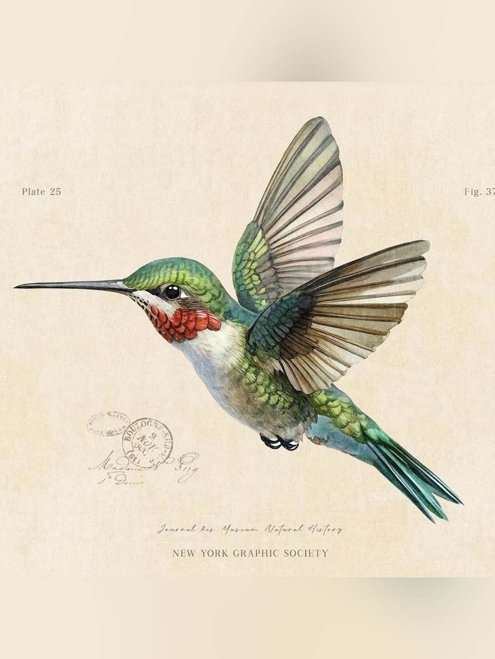 Meet your Posher, Meghan